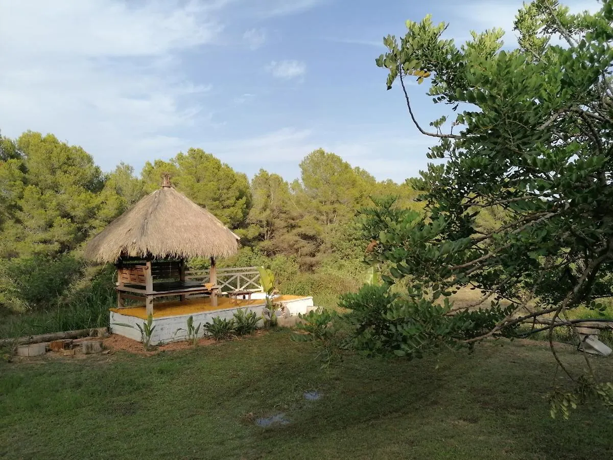 Landhaus Gasthaus Chilliman & Mas Miro Biofarm Catllar Spanien